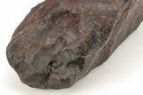 Chondrite Meteorite ( g) - Western Sahara Desert #208169-3